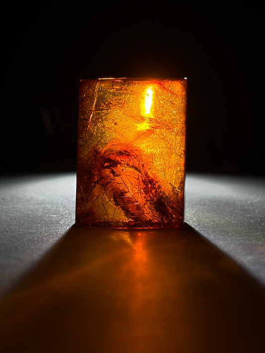 Dominican Amber-Mosquito w/ Vegetation Inclusions