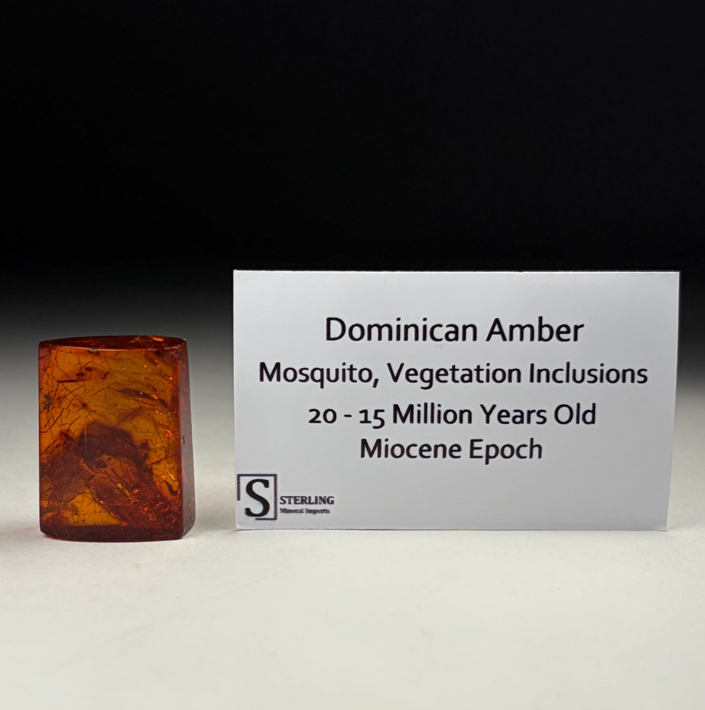 Dominican Amber-Mosquito w/ Vegetation Inclusions