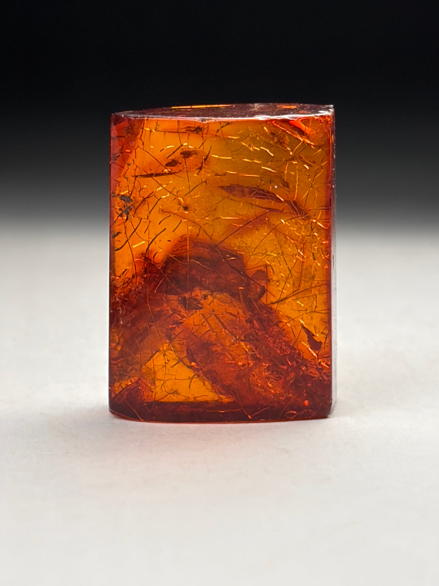 Dominican Amber-Mosquito w/ Vegetation Inclusions