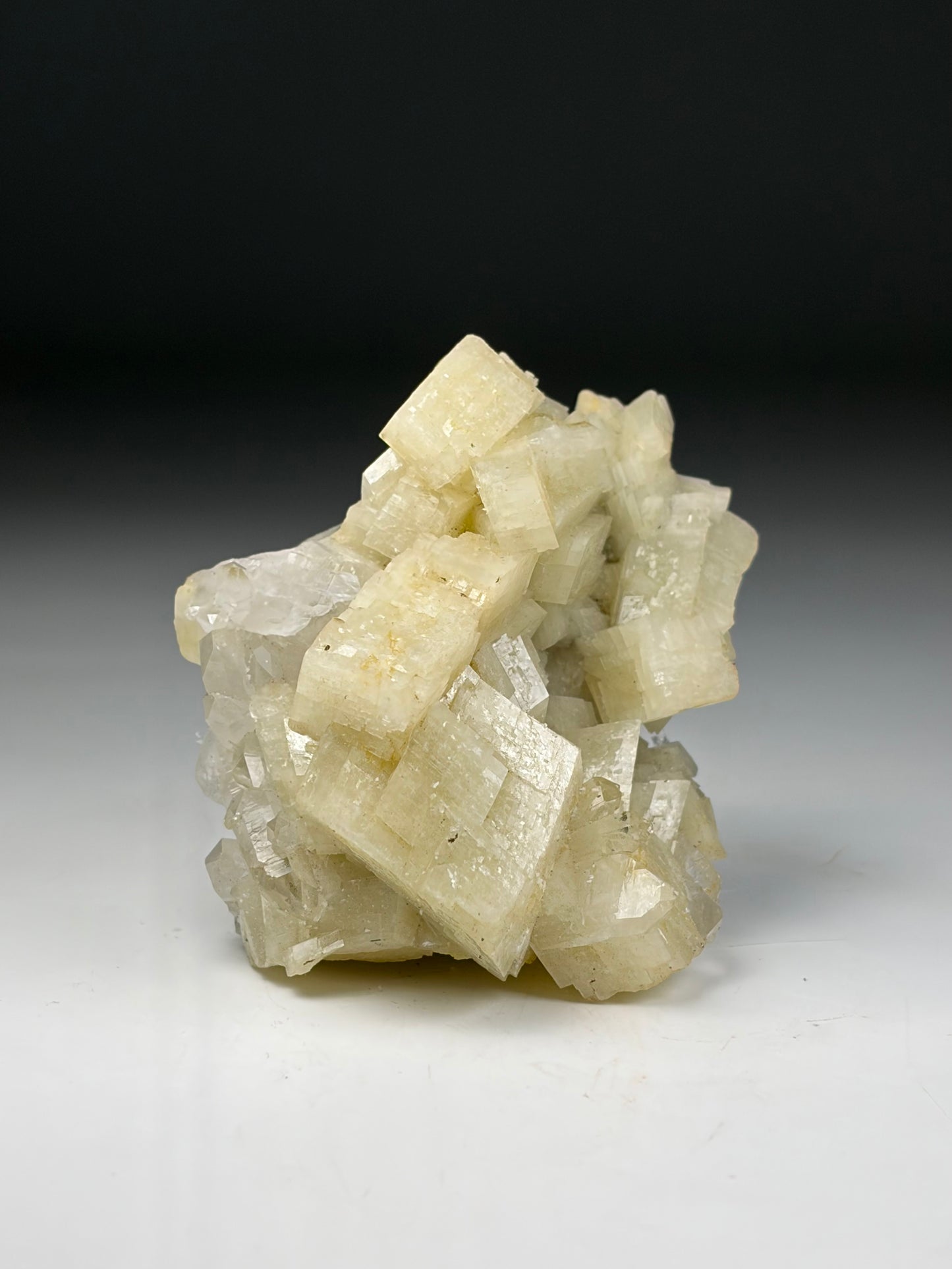Dolomite w/ Quartz