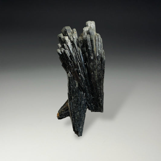 Black Tourmaline