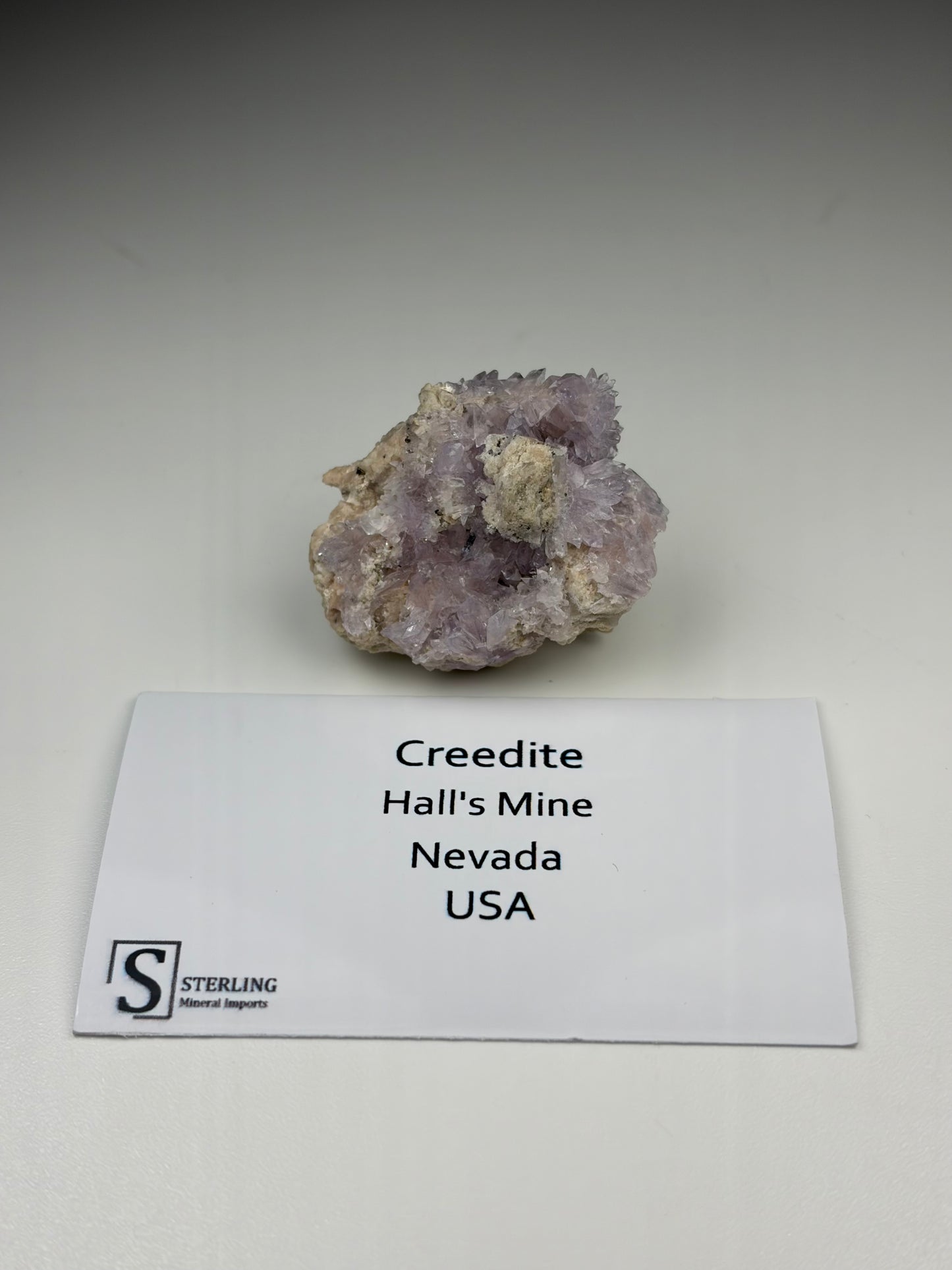 Creedite