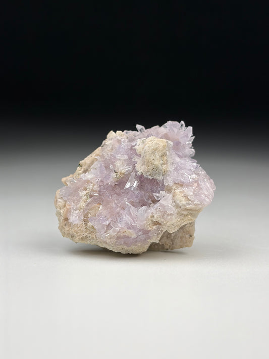 Creedite