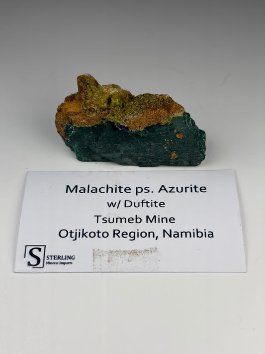Malachite ps. Azurite w/ Duftite