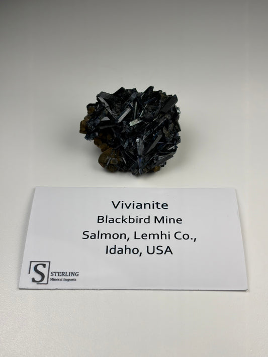 Vivianite
