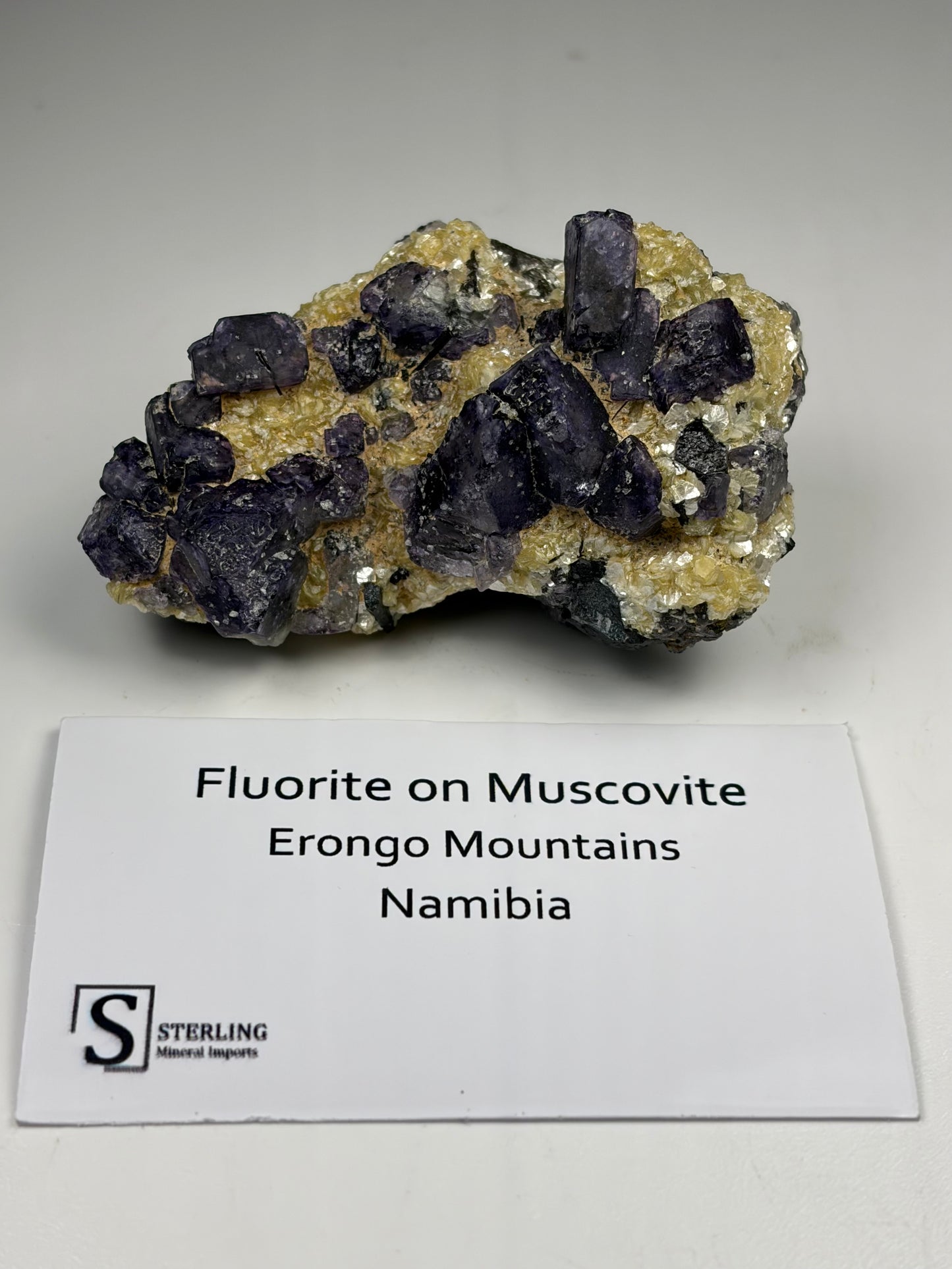 Fluorite on Muscovite