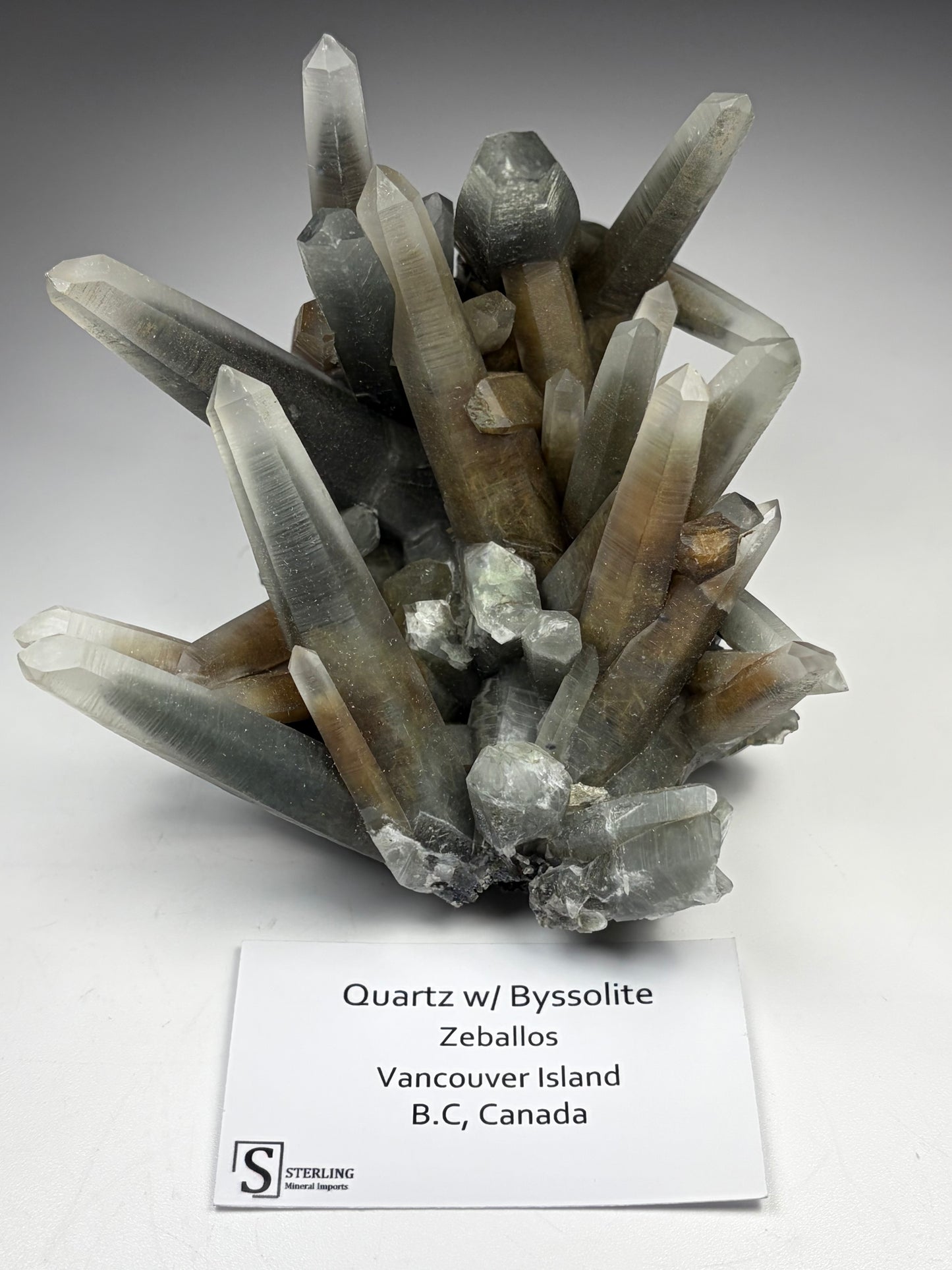 Quartz w/ Byssolite