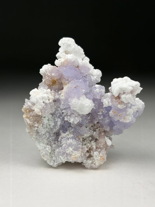 Creedite