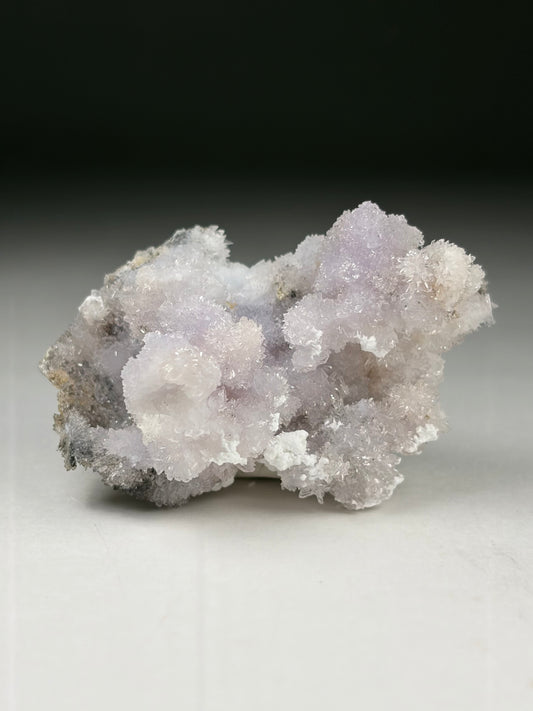 Creedite