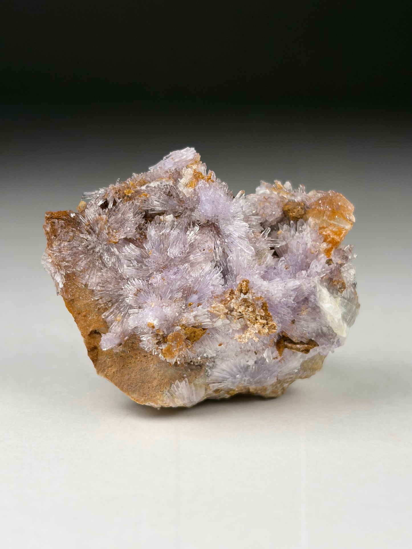 Creedite
