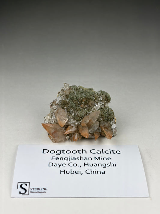 Dogtooth Calcite