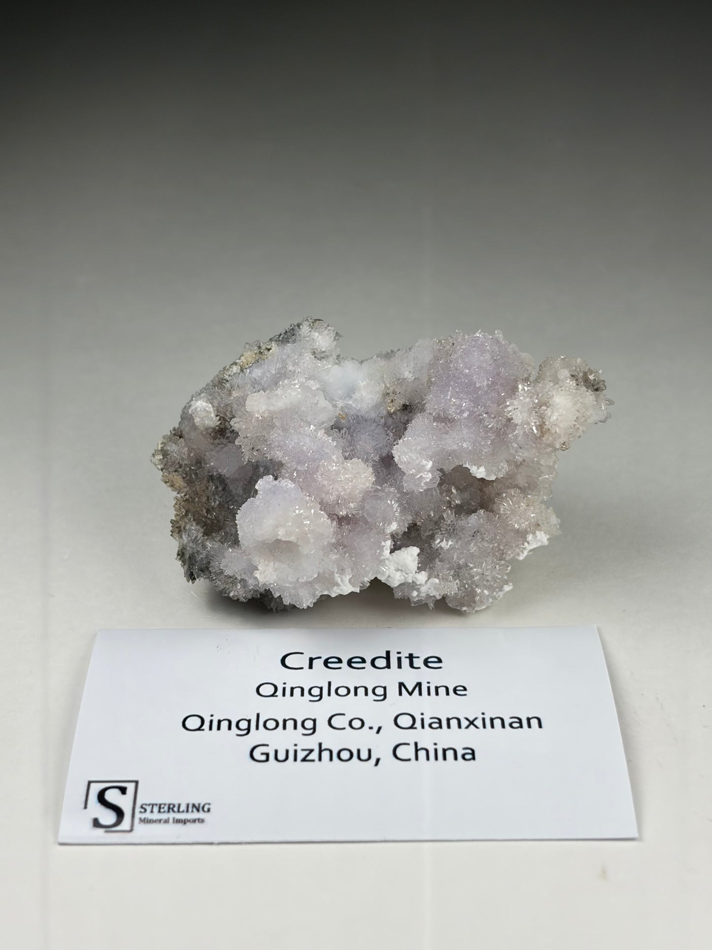 Creedite