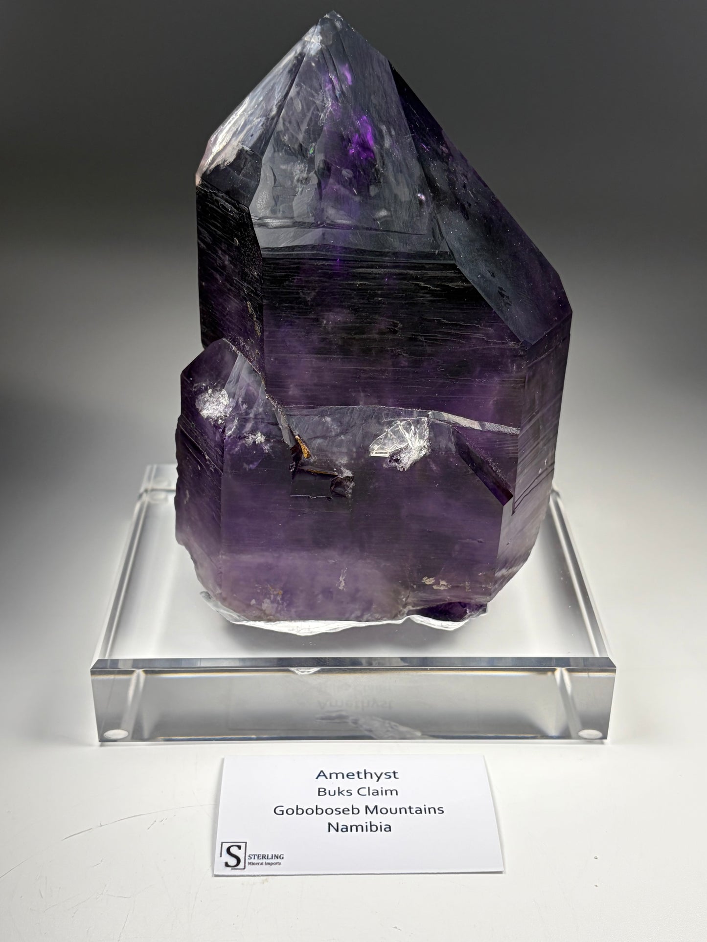 Amethyst w/ Custom Stand