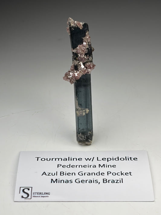 Tourmaline w/ Lepidolite