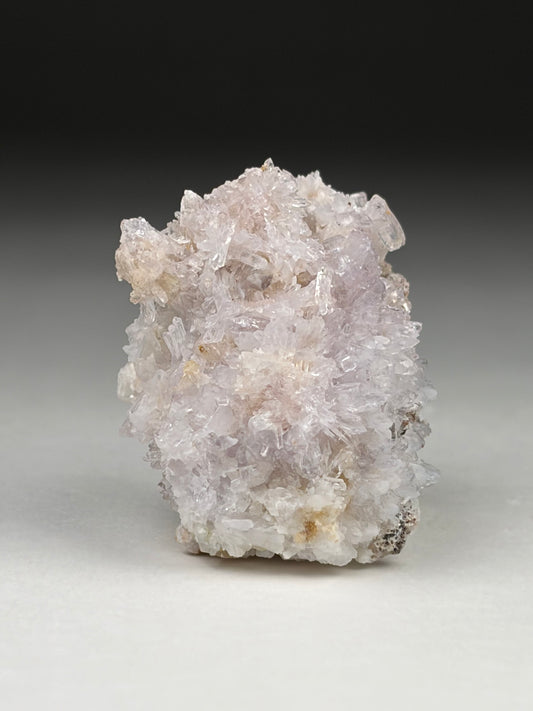 Creedite