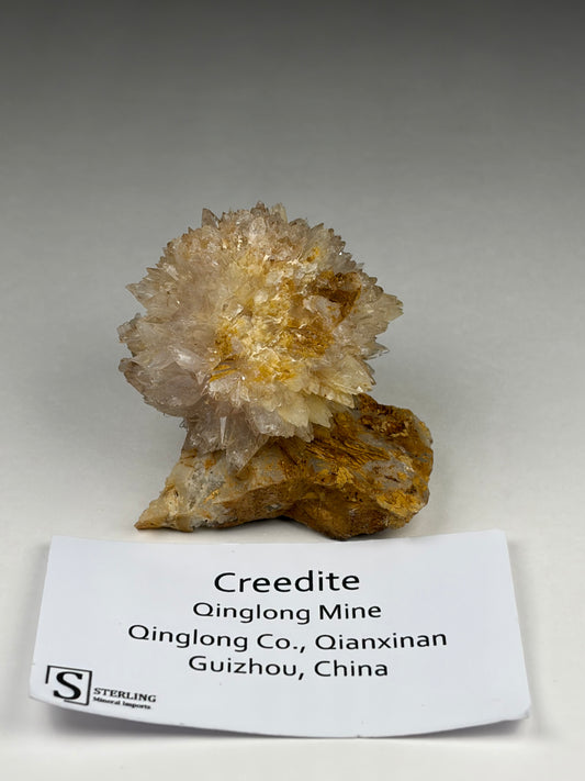 Creedite