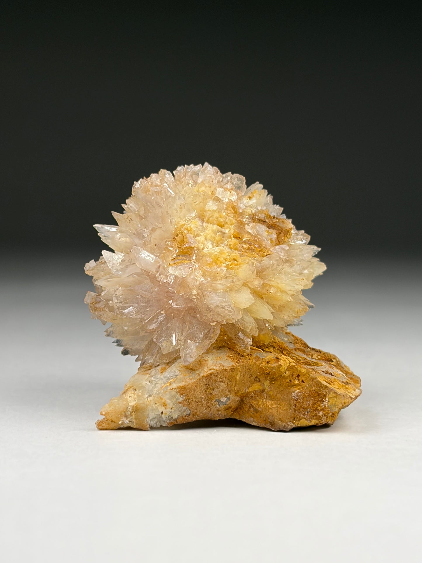 Creedite