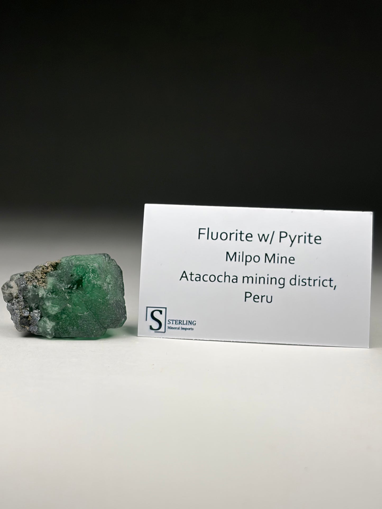 Fluorite w/ Pyrite