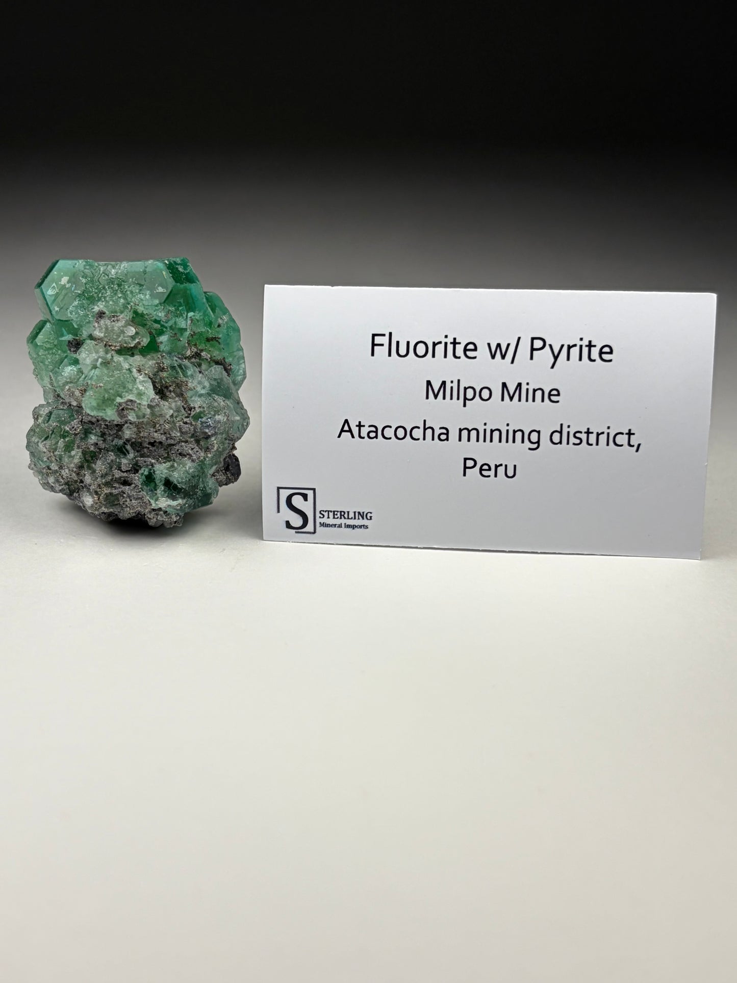 Fluorite w/ Pyrite