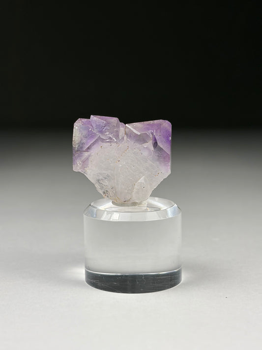 Amethyst(Japan Law)
