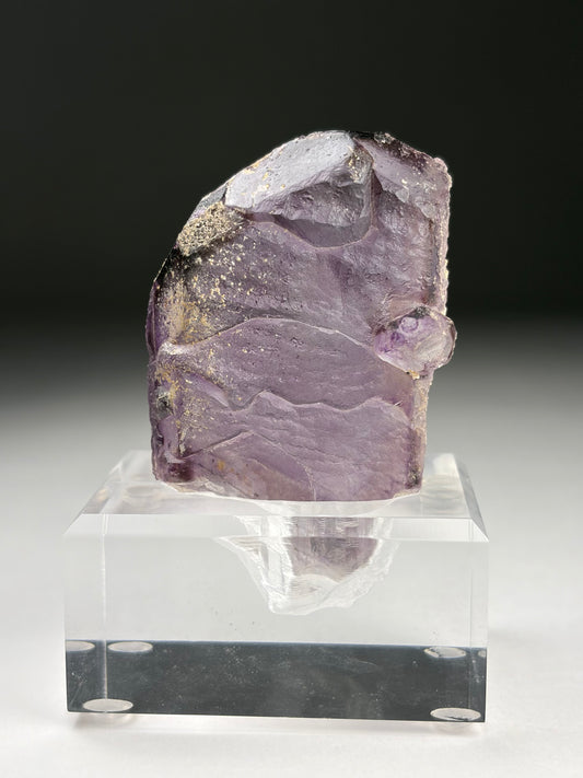 Fluorite (Spinel Twin) w/ Custom Stand