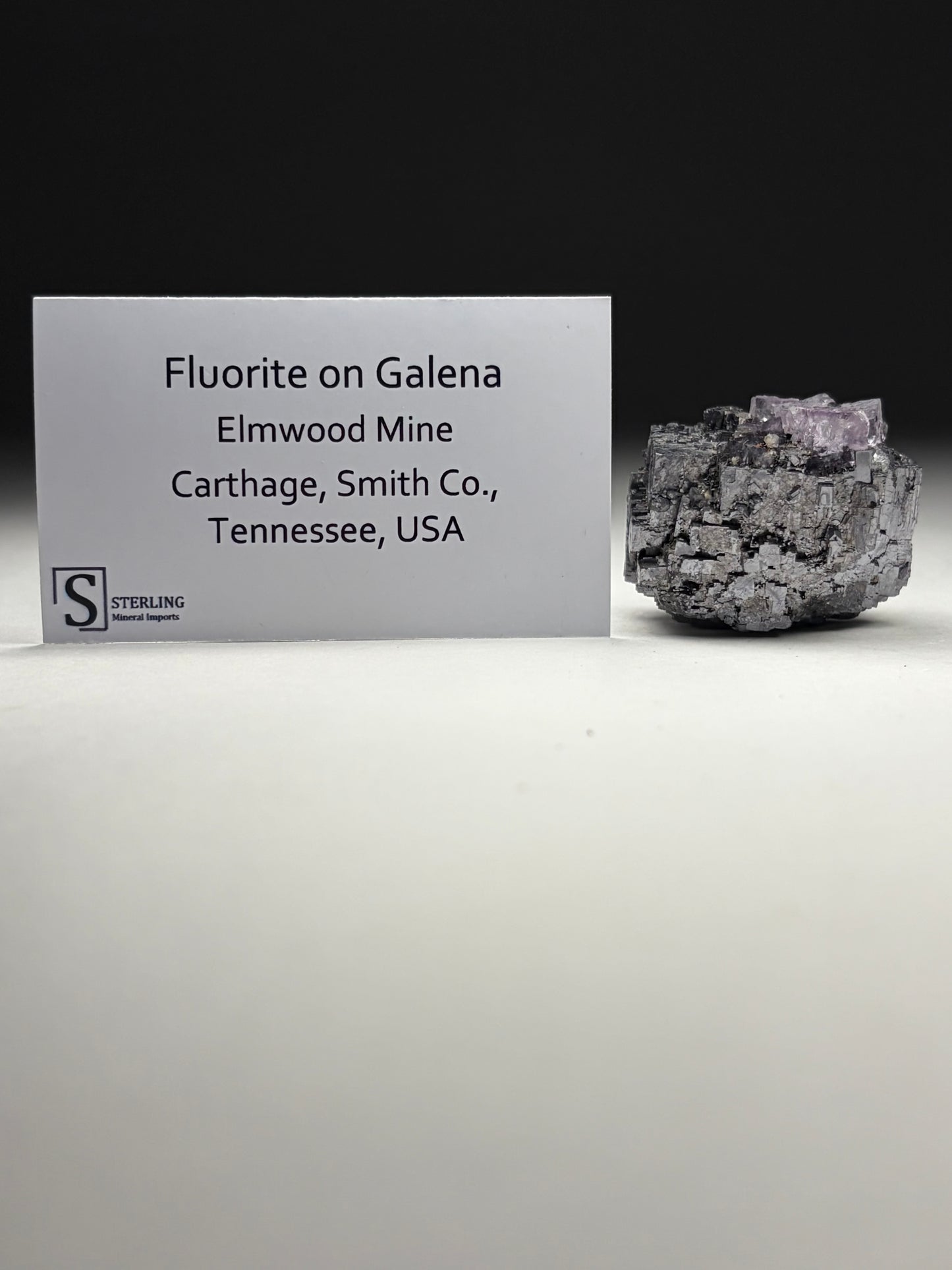 Fluorite on Galena