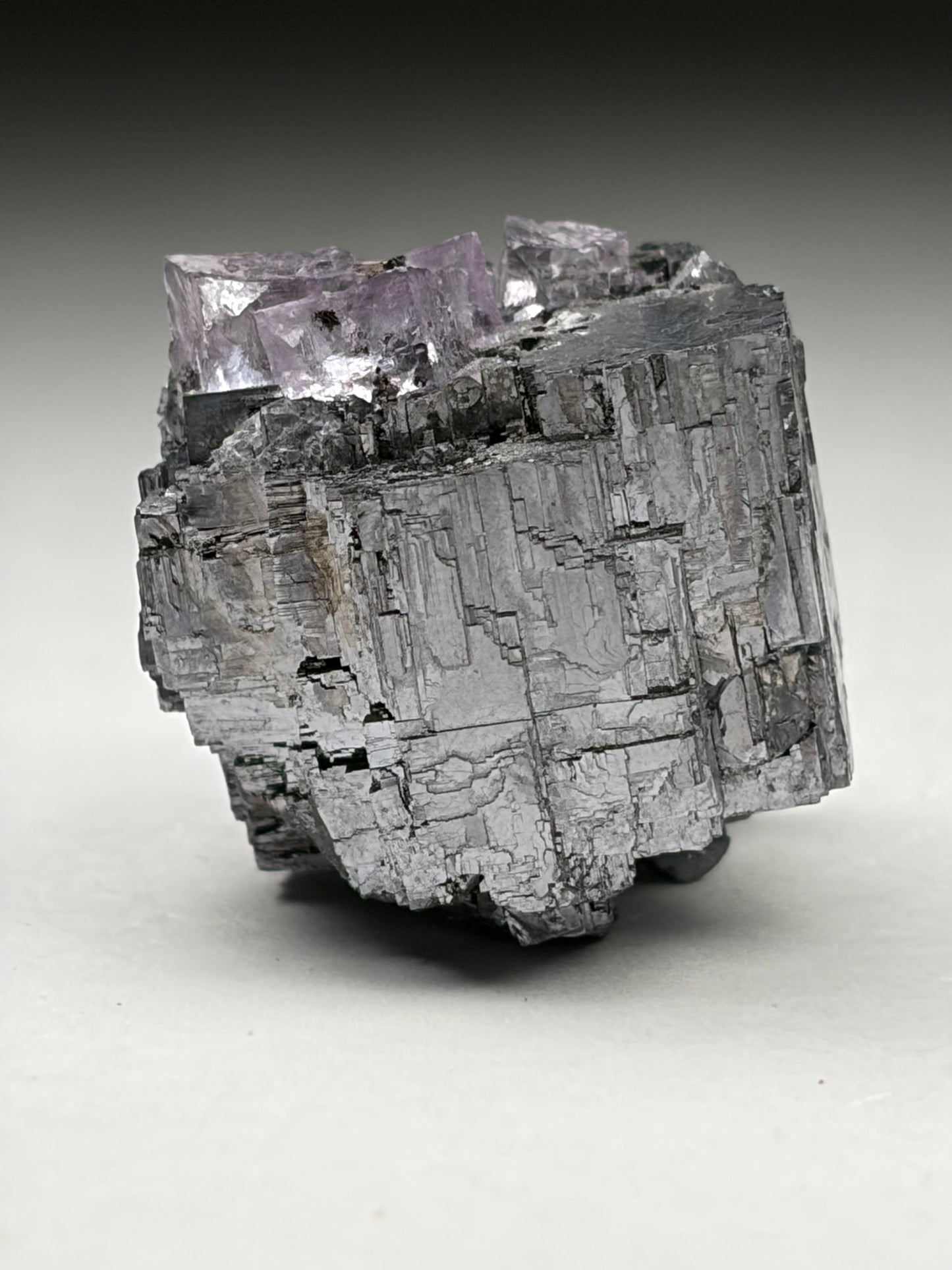Fluorite on Galena