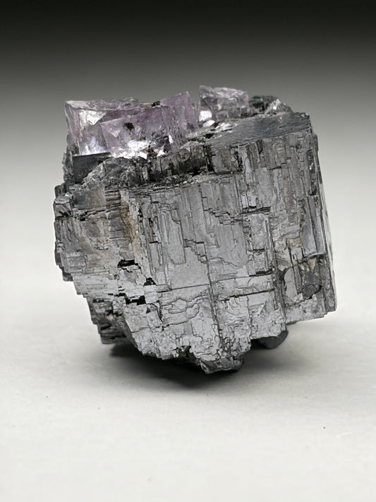 Fluorite on Galena