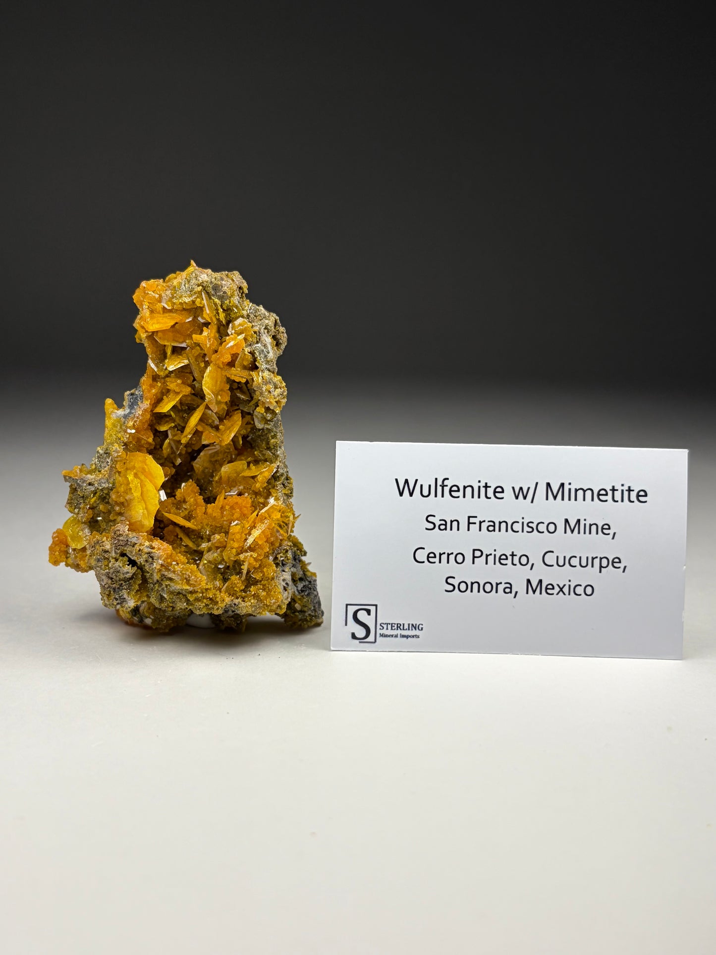 Wulfenite w/ Mimetite