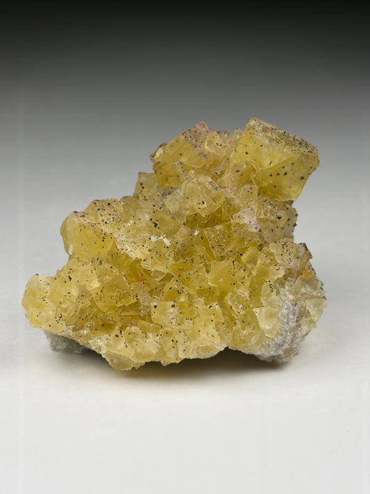 Fluorite w/ Chalcopyrite