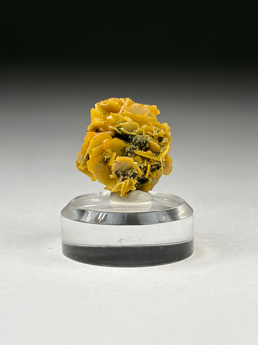 Wulfenite