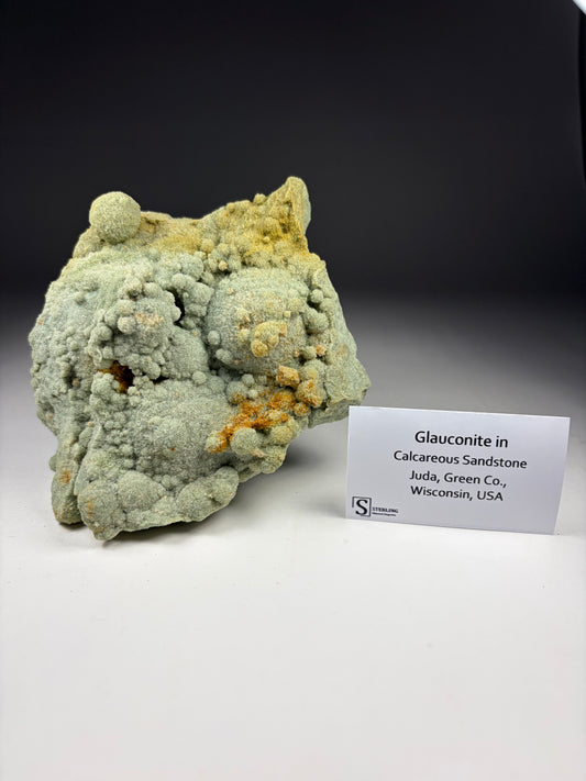 Glauconite in Calcareous Sandstone