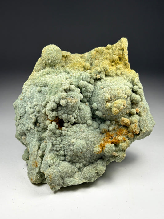 Glauconite in Calcareous Sandstone
