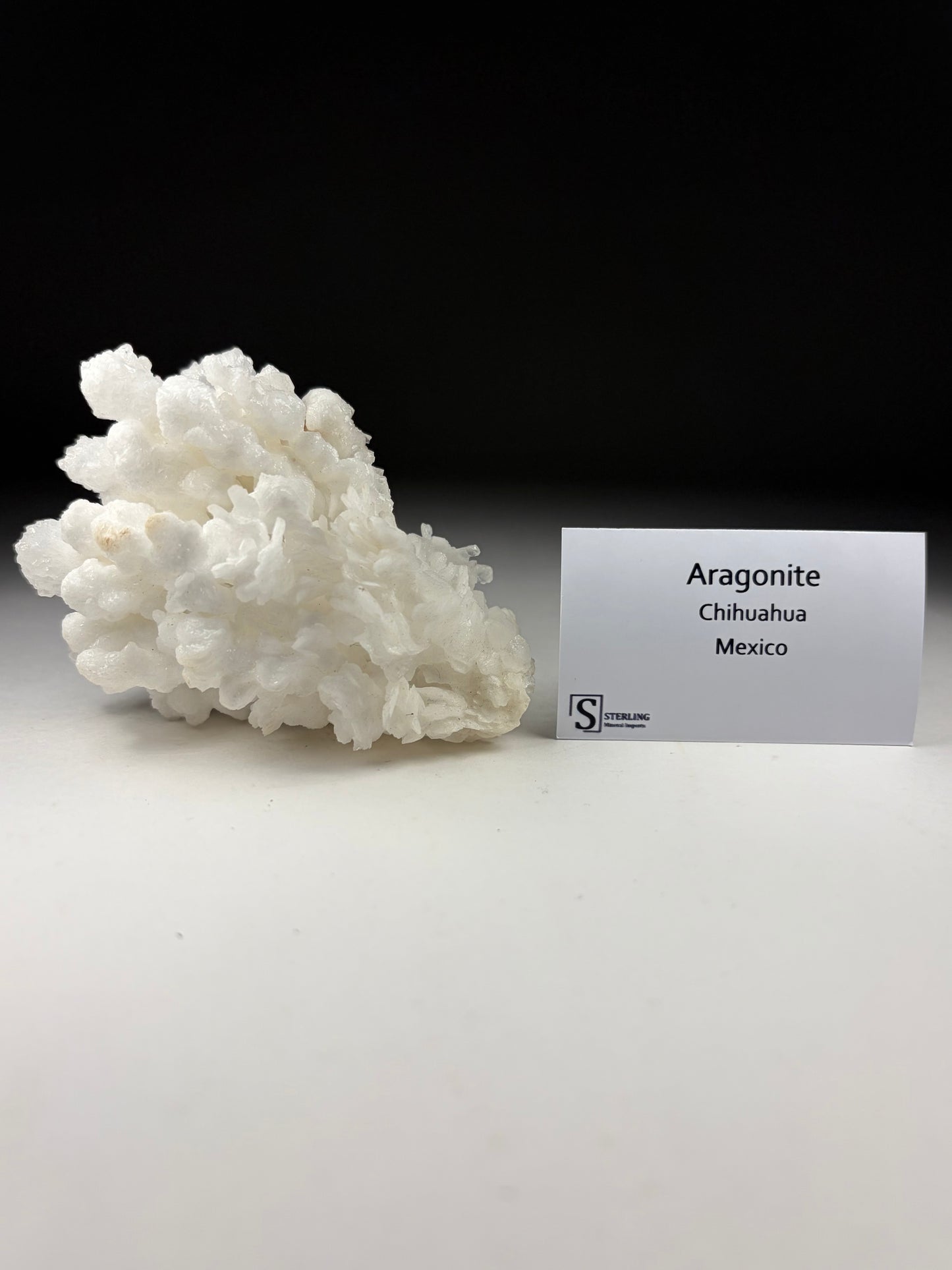 Aragonite