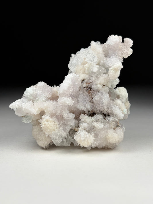 Creedite