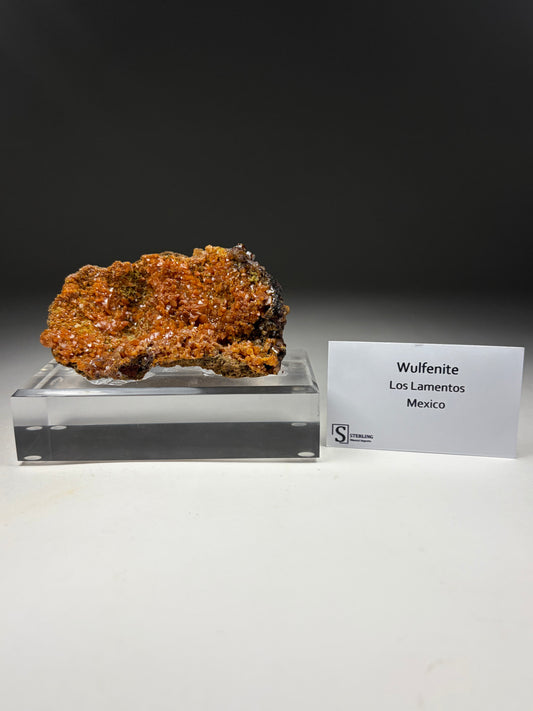 Wulfenite on Custom Stand