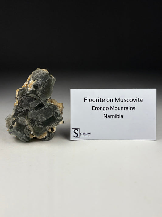 Fluorite on Muscovite
