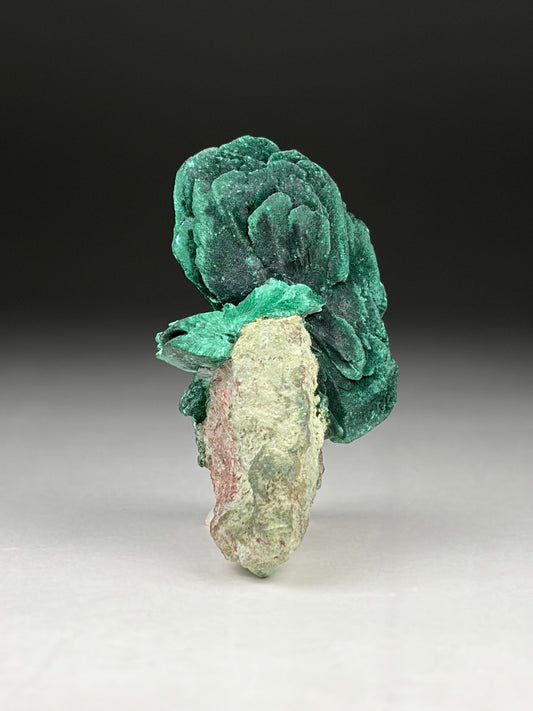 Malachite after Azurite