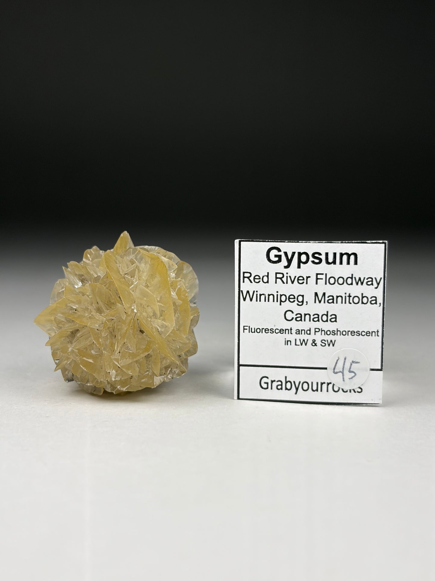 Selenite