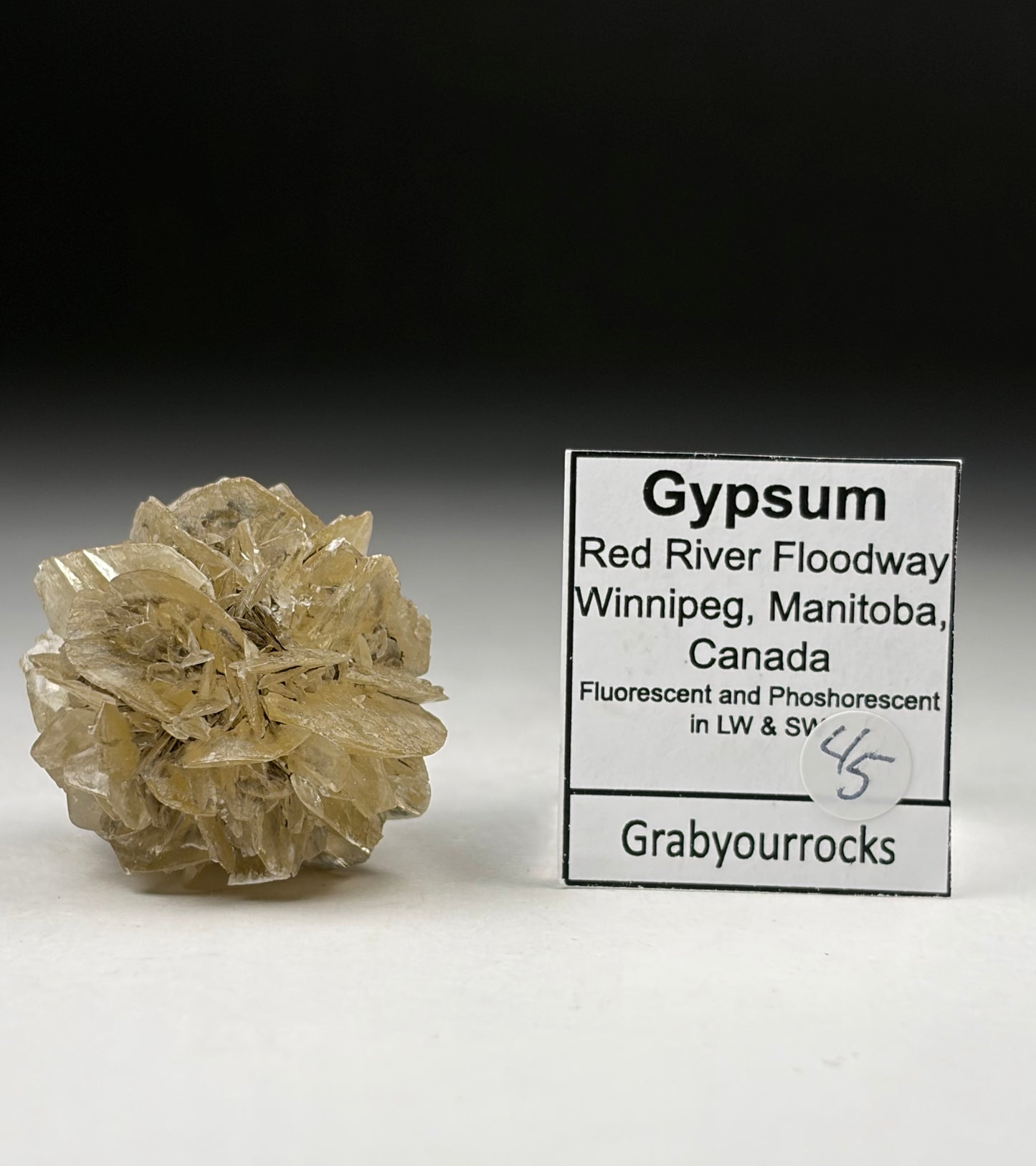 Selenite