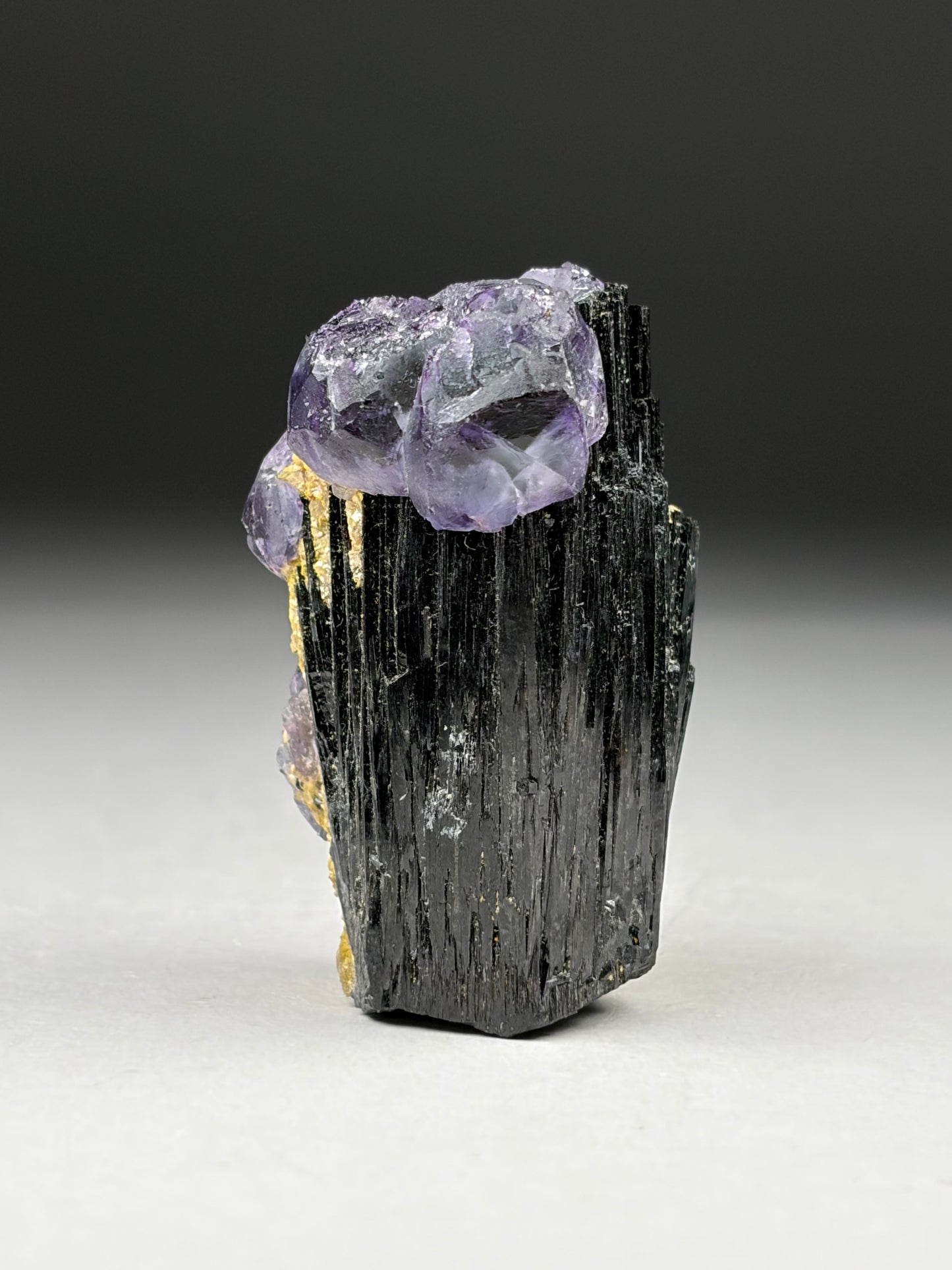Fluorite on Black Tourmaline