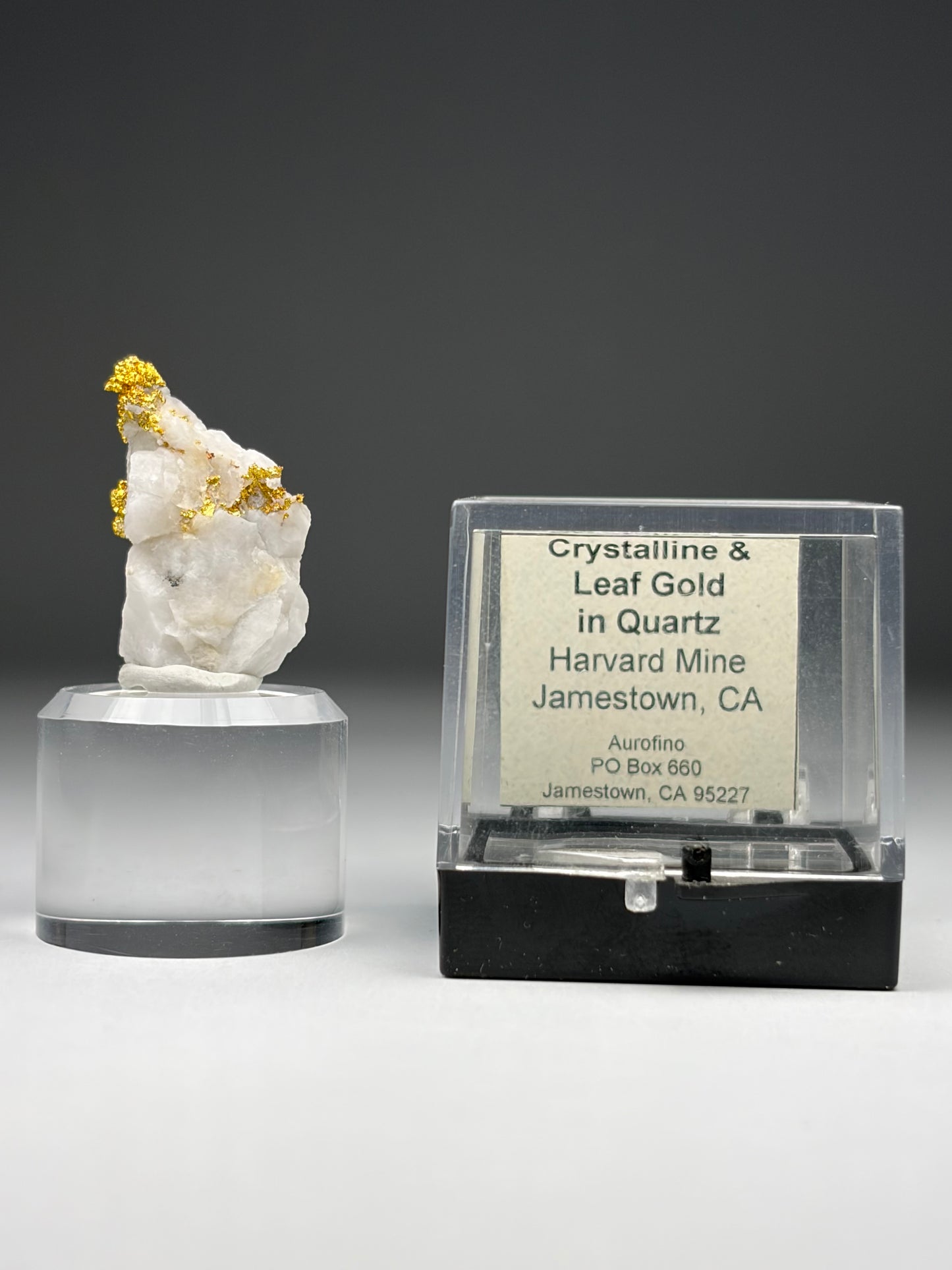 Crystalline & Leaf Gold in Quartz