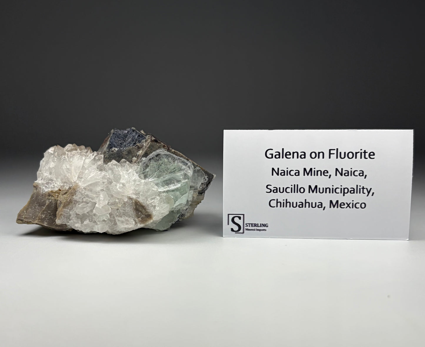 Galena on Fluorite