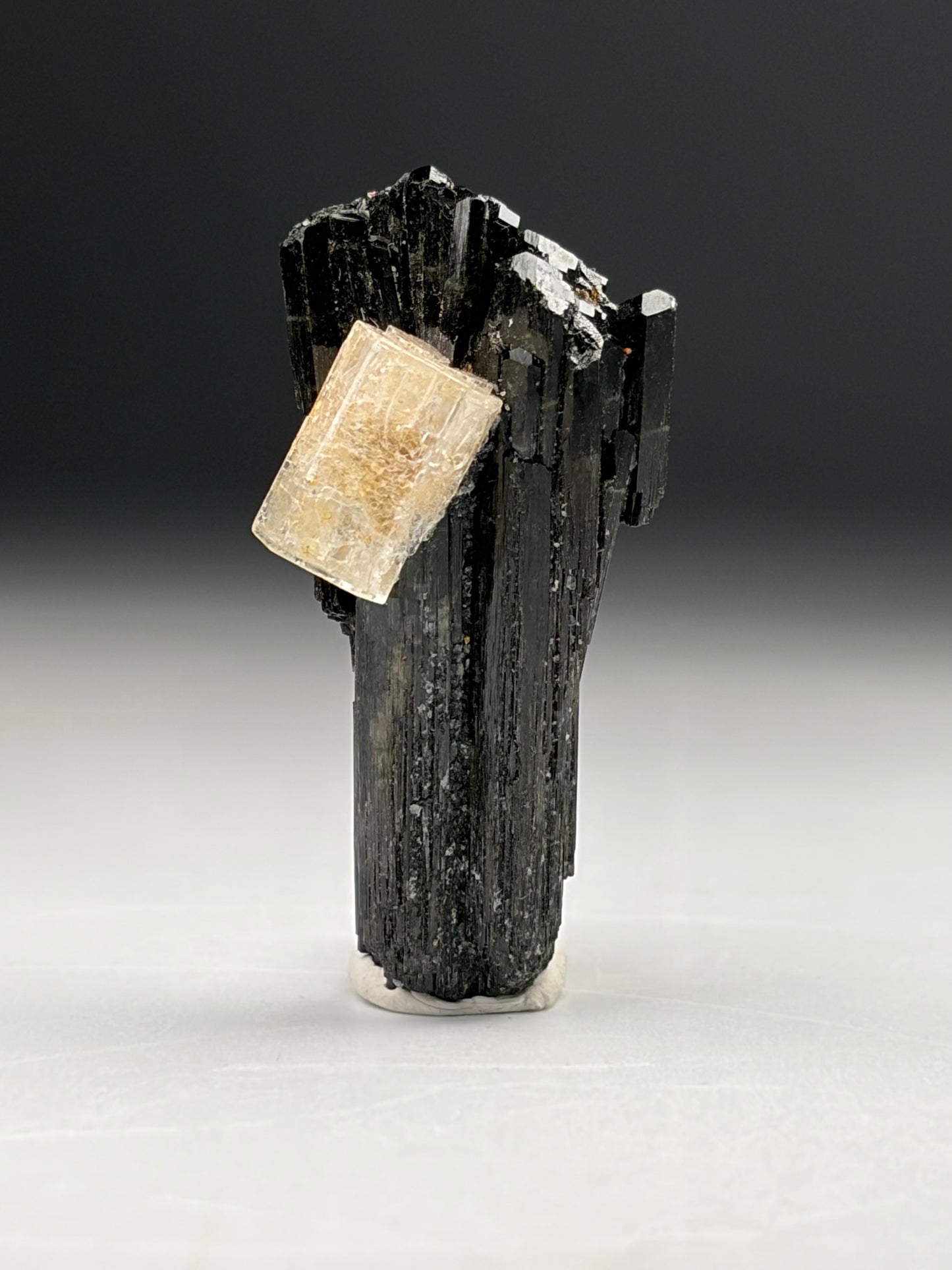 Goshenite on Black Tourmaline
