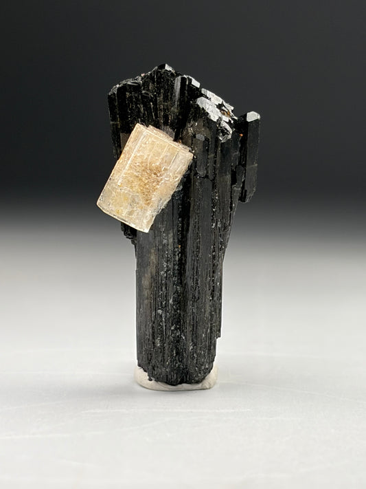 Goshenite on Black Tourmaline