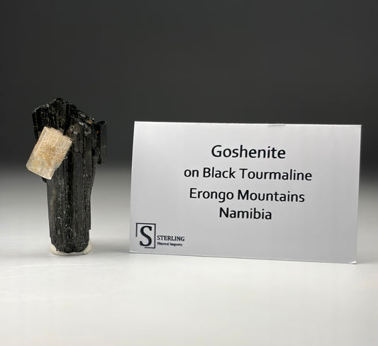 Goshenite on Black Tourmaline