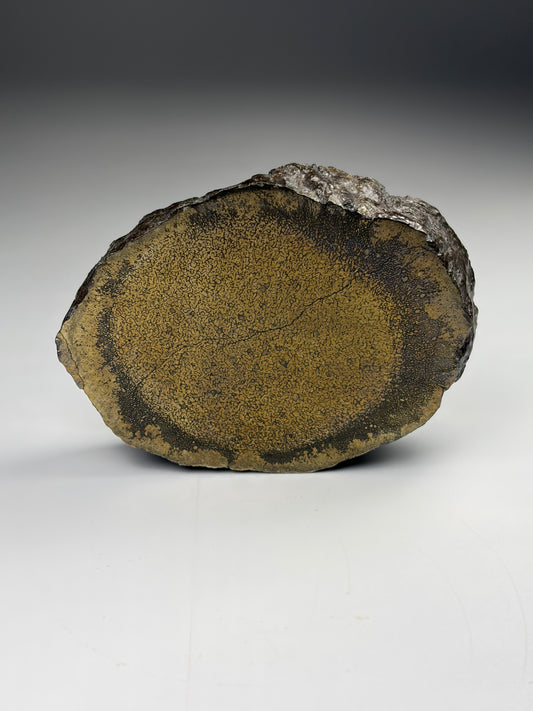Pliosaur Bone - Pyrite Replacement