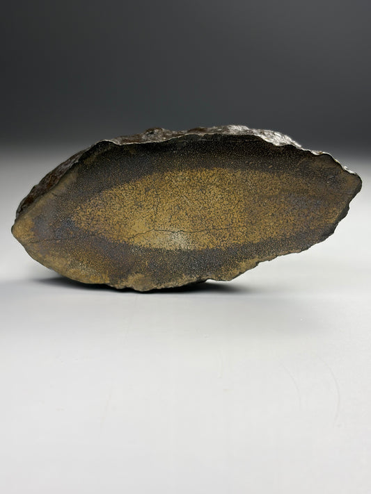 Pliosaur Bone - Pyrite Replacement