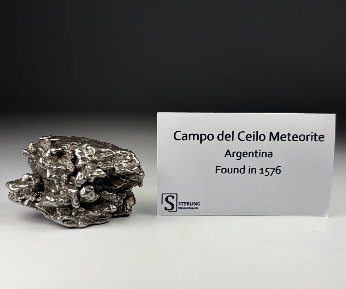 Campo del Ceilo Meteorite