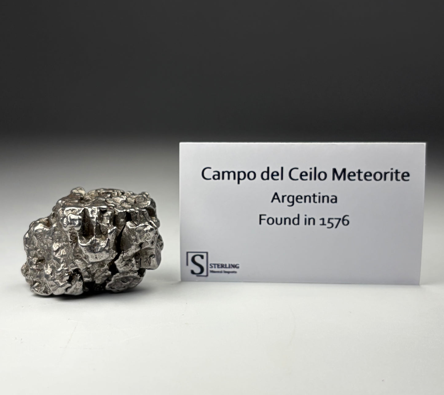 Campo del Ceilo Meteorite